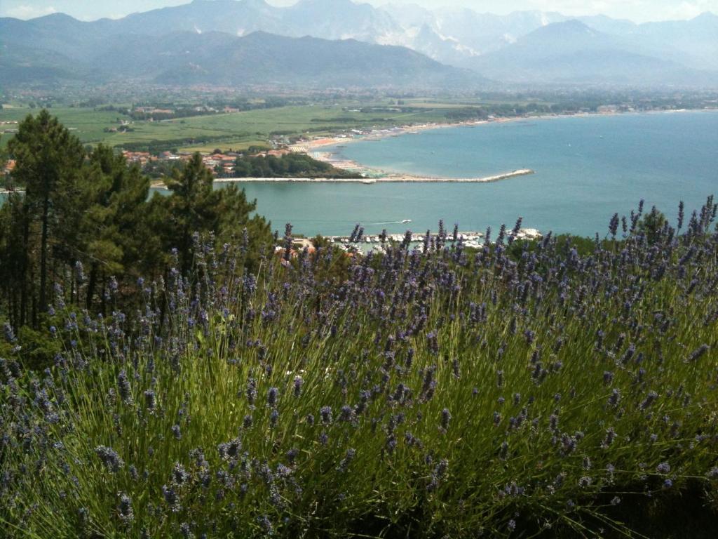 Villa I Poggioli Bocca di Magra Exterior foto